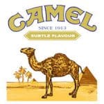 Camel Logo