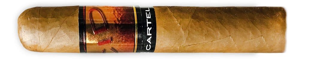 Acid Cartel Exclusive